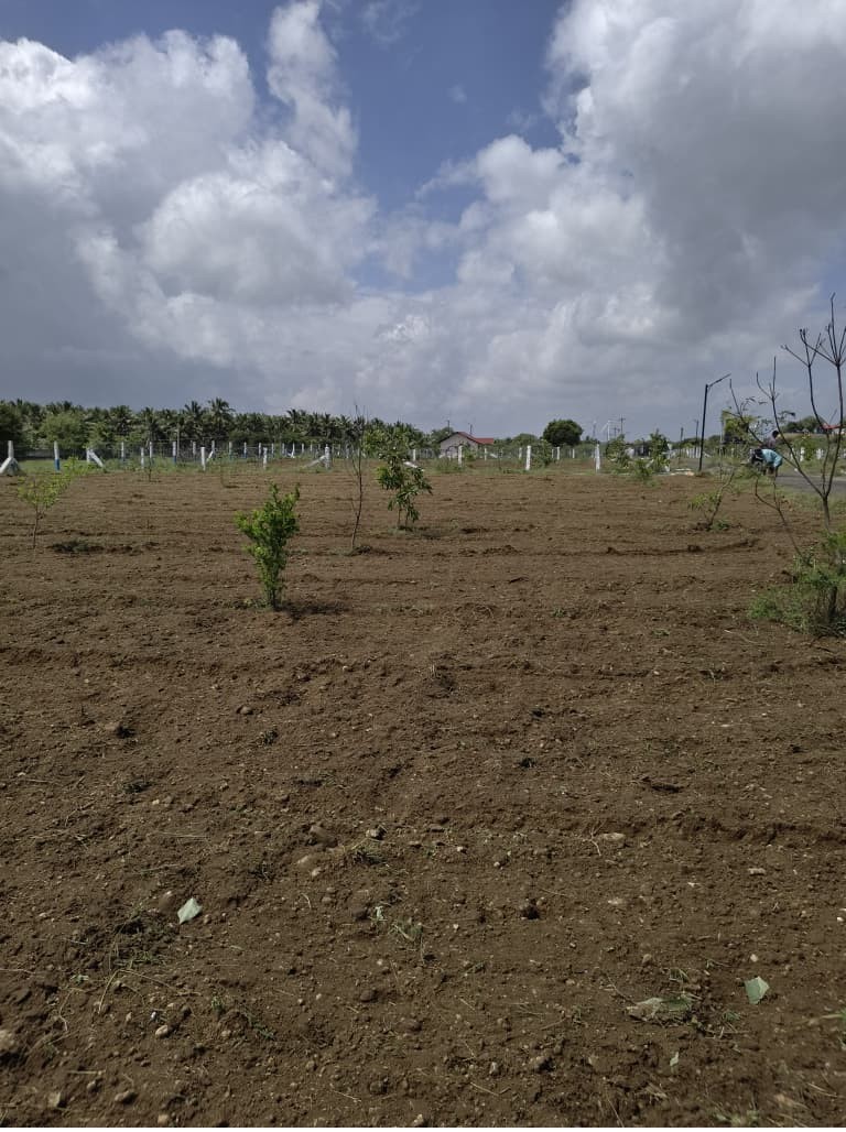 Sangamam Farms Image 3